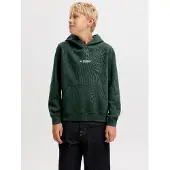 Jack & Jones Felpa Con Cappuccio Stampato Boys