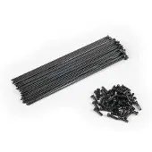 Eclat Kit Di Raggi E Nippli Pg 40 Unità