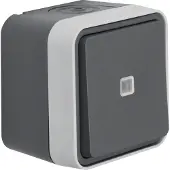 Berker Commutatore illuminato grigio chiaro 30763525