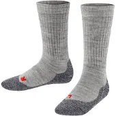 Falke Calzino grigio / grigio scuro