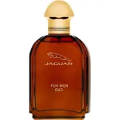 Jaguar Oud da uomo EDP 100ml
