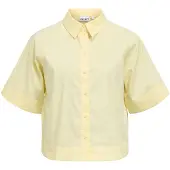 Object Camicia