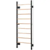 Gymstick Spalliera Wood&steel