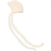 Engel Frühchen Häubchen Berretto Bambini (26/32, bianco)