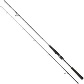 Daiwa Canna Spinning Saltist Seabass