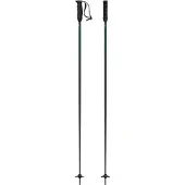 Atomic Bastoncini Redster Q