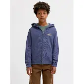 JACK&JONES JUNIOR Felpa Con Cappuccio Stampa Sul Retro Boys