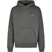Iriedaily Flagloose Hoodie Felpa con cappuccio Uomo (M, grigio)