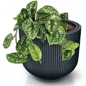 Prosperplast Vaso Rotondo Milly 29.8x29.8x25.7cm