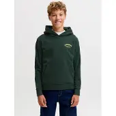 Jack & Jones Felpa Con Cappuccio Con Logo Boys