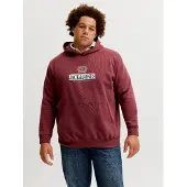 Jack&Jones PLUS Plus Size Felpa Con Cappuccio Con Logo
