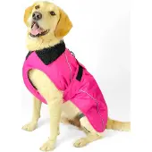 Dryrobe Giacca Per Cani