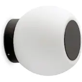 Faro Applique LED Moy in nero con paralume di vetro
