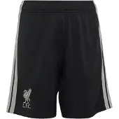 Adidas Pantaloni sportivi 'FC Liverpool 26/27' grigio chiaro / nero