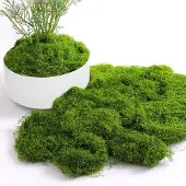 OEM Muschio artificiale decorativo verde per Natale