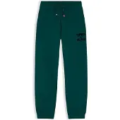 Tommy Hilfiger Pantaloni 'Brand Love' abete