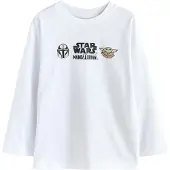Next Maglietta 'Mandalorian' camello / menta / nero / bianco