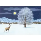 Sonstige Verlage Calendario dell'Avvento: una magica notte invernale