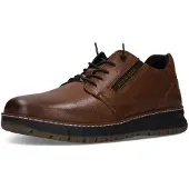 Salamander Scarpa stringata marrone