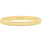Michael Kors Braccialetto 'PREMIUM' oro / trasparente
