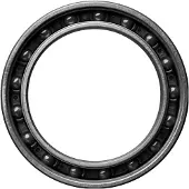 Ceramicspeed Cuscinetti 61806 Single