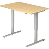 Hjh OFFICE PRO Scrivania XMST12, 120 x 80 cm