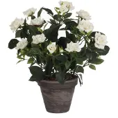 Mica Rosaio Artificiale