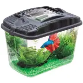 Aquael Betta Kit: Set per pesci combattenti (Betta)