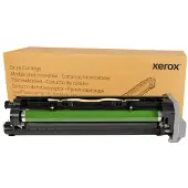 Xerox Tamburo Della Stampante B7125 013r00687