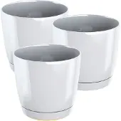 Wellhome Vaso Da Fiori Coubi Round P 3 Unità
