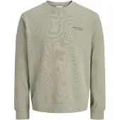 Jack & Jones Junior Felpa 'JJEArchive' verde pastello