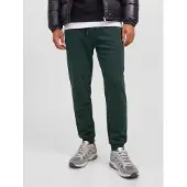 Jack & Jones Pantaloni 'JPSTGordon JJBradley' verde scuro