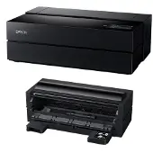 Epson SureColor SC-P900 + Roll-carta unit