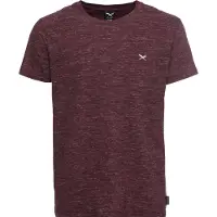 Iriedaily Chamisso Tee T-shirt Uomo (XXL, rosso)