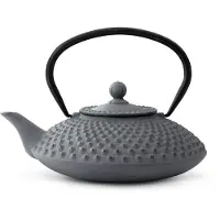 Bredemeijer Teiera Xilin 1.25l