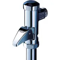 GROHE 37141000 Valvola di risciacquo completamente automatica DAL 37141 DN 20 per WC a parete in ottone cromato