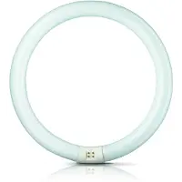 Philips Anello a fluorescenza Master Circular TL-E