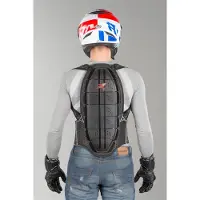 Zandona Paraschiena Shield Evo X7