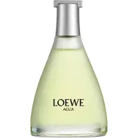 LOEWE Agua de Uomo Eau de Toilette 100 ml