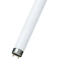 Osram G13 T8 36W Fluora per piante