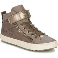 Geox Sneaker grigio