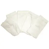 Chemoform Sacchetti per microfiltro (5 pz.) Poolblaster Catfish, Max e Max CG