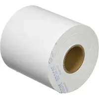 Epson Etichetta Rotolo Di Etichette Opache Per Tm-c3400 120 Mm