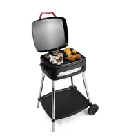 Fritel BBQ 3278: Griglia elettrica da tavolo