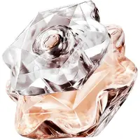 Mont Blanc Acqua Di Profumo Emblem Lady Vapo 50ml