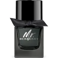 Burberry Mr. Uomo EDP 50ml — Eau de Parfum