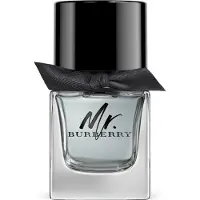 Burberry Eau De Toilette Mr 50ml
