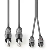 Ginza.se Cavo Audio Stereo Coth23320gy30 M-2x Rca M Nichelato 2x 6.35mm 3 M