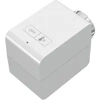 Busch-Jaeger Termostato radiatore 6256/1-WL 2CKA006200A0131