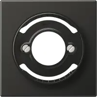 JUNG AL2937AN Copertura antracite (alluminio verniciato)